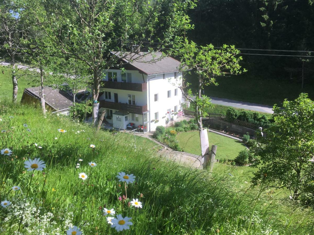 Ginnys Place Kotschach-Mauthen ภายนอก รูปภาพ